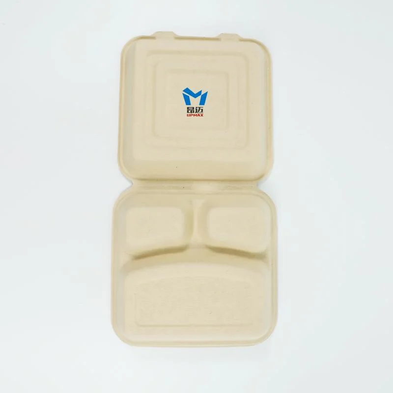 Spot Environmentally Friendly Biodegradable Take-out Pulp Packing Box