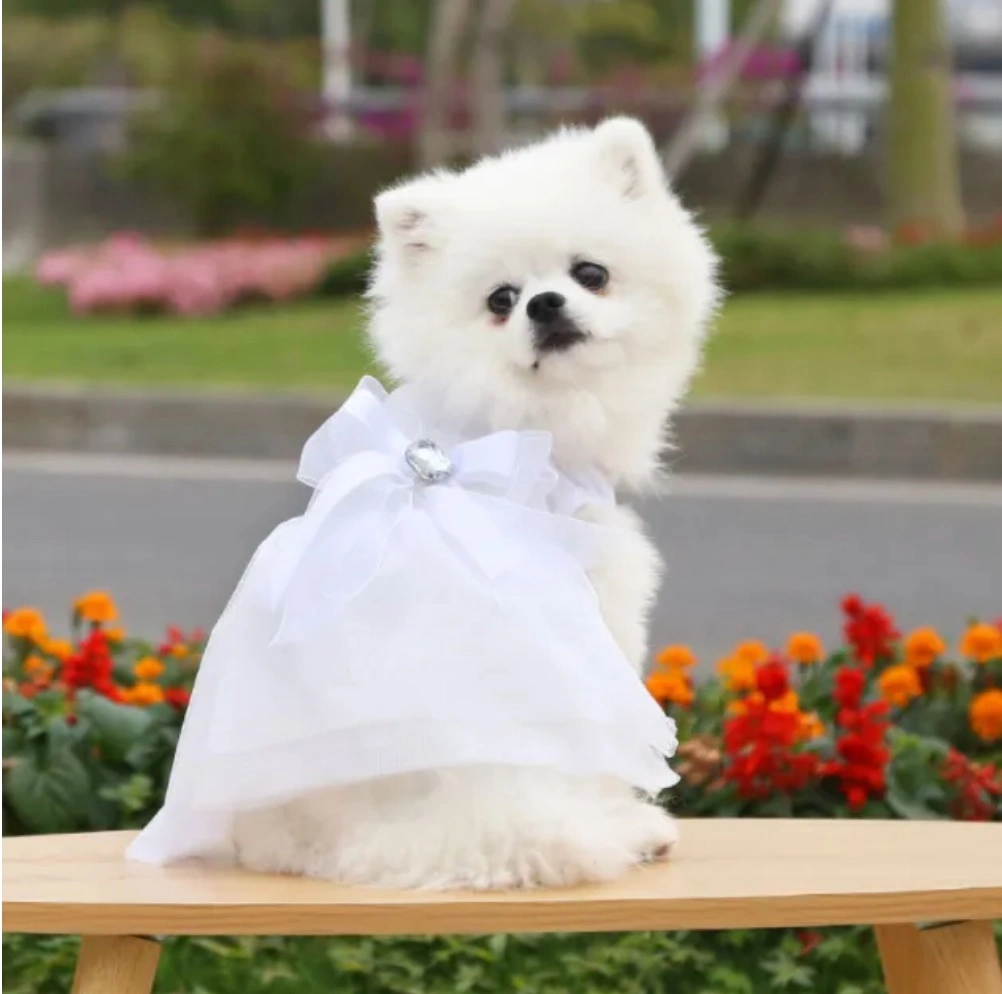 Hot Selling in Stock Summer Groom's Wedding Dress Pet Dog Clothes