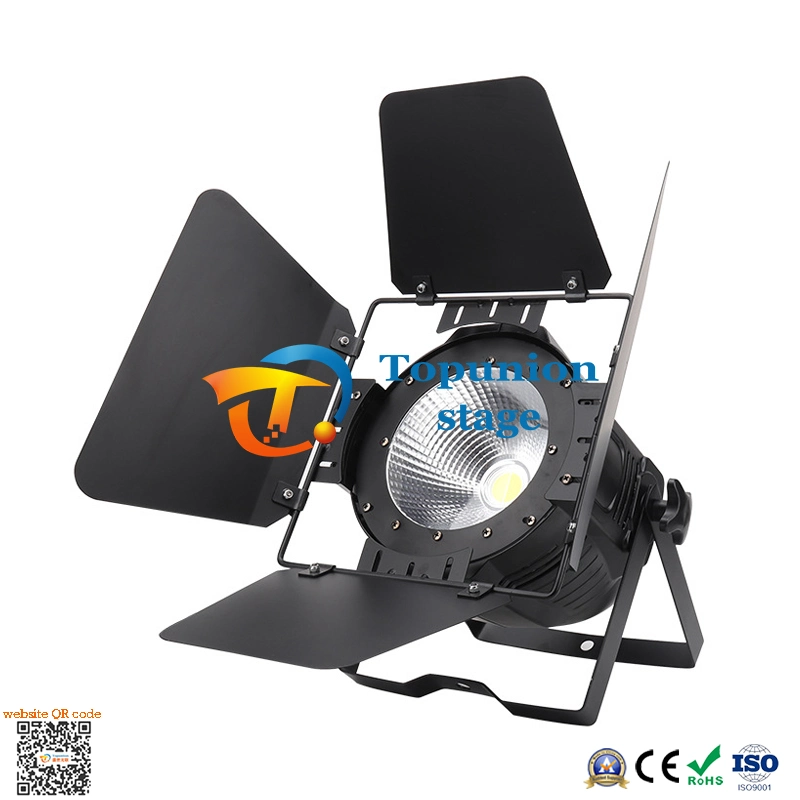 High Brightness COB RGBW 100W LED PAR Light for DJ Party Events