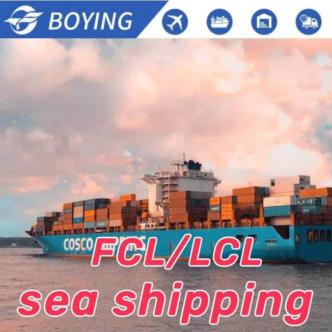 Import Export Products Logistics Sea Shipping Fret Maritime LCL Cargo Agent to UK USA Canada