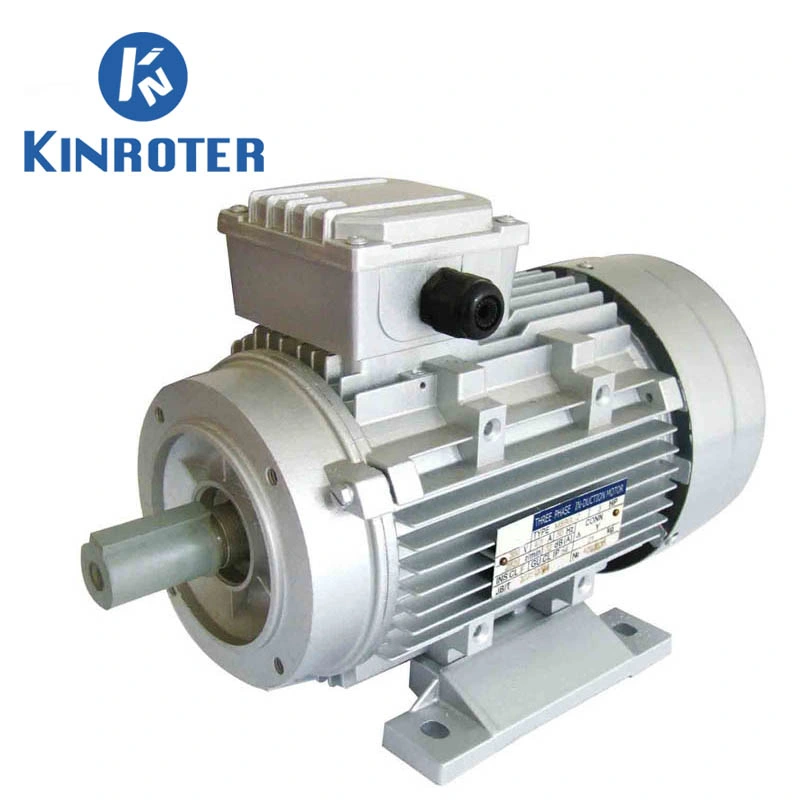 Ms/Ys/Ye2 Series Aluminium High Eifficiency Three Phase Asynchronous Induction Electric Motor