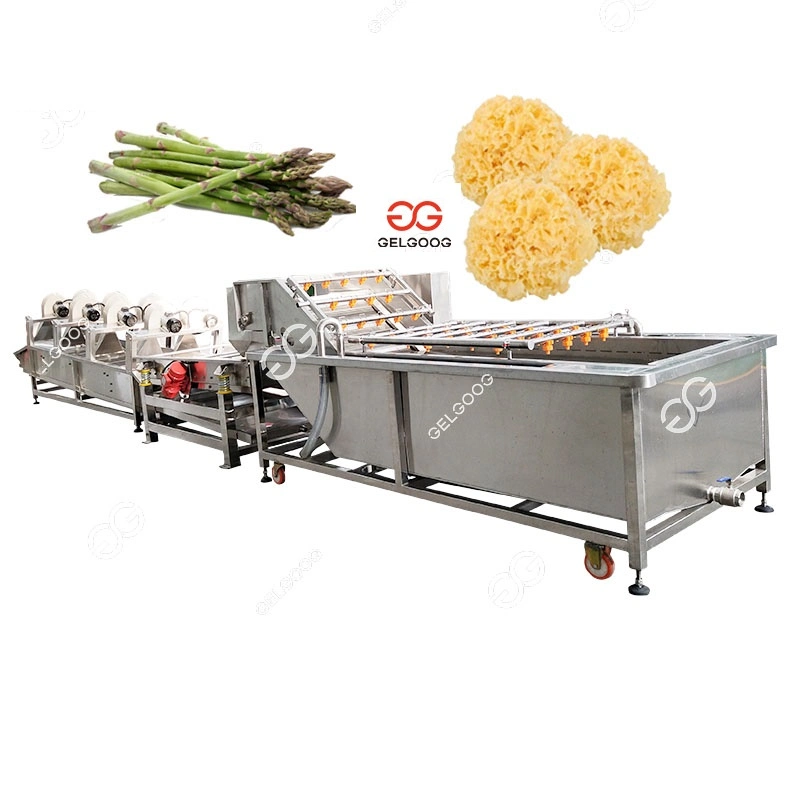 Gelgoog Guangzhou Automatic Apple Orangel Lemon Fruit Cleaning Machine Sugar Beet and Vegetable Washing Equipment