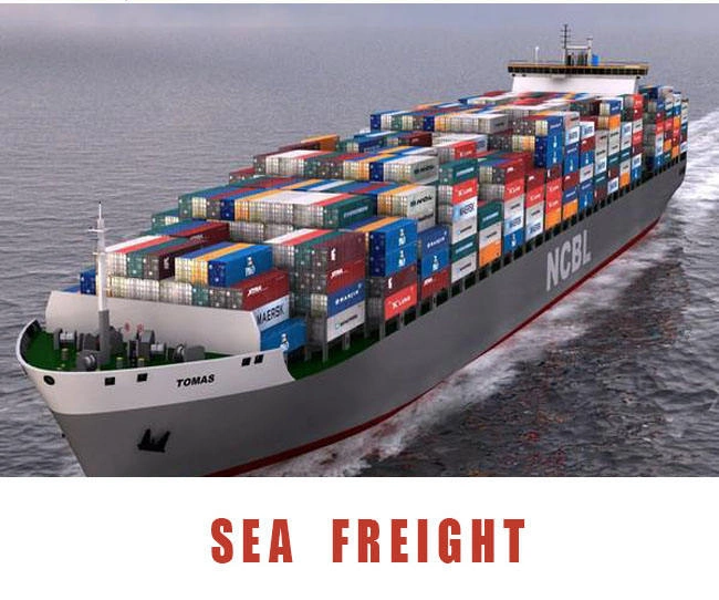 Cheapest Shipping Agent to Kinshasa Congo CIF CFR Sea Freight Rates Logistics in Shenzhen China From China to Congo