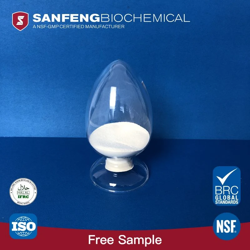 Industrial Grade Raw Material Pancreatin Powder for Digestion with ISO Certificate