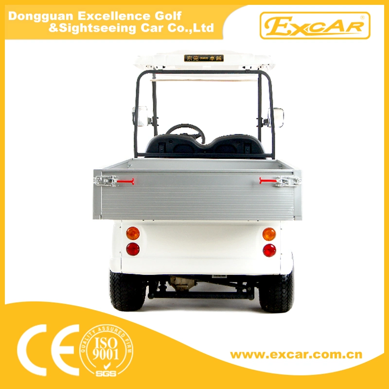 Heißer Verkauf 2 Sitzer Elektro Cargo Car