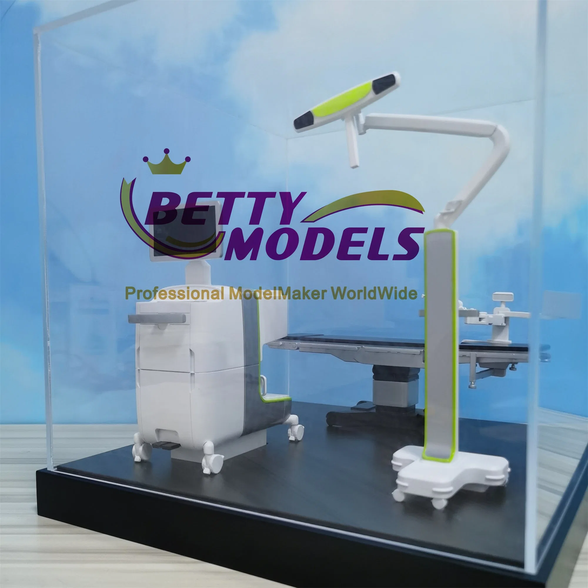 Perfect Medical Teaching Model with Customized Scale and Colour