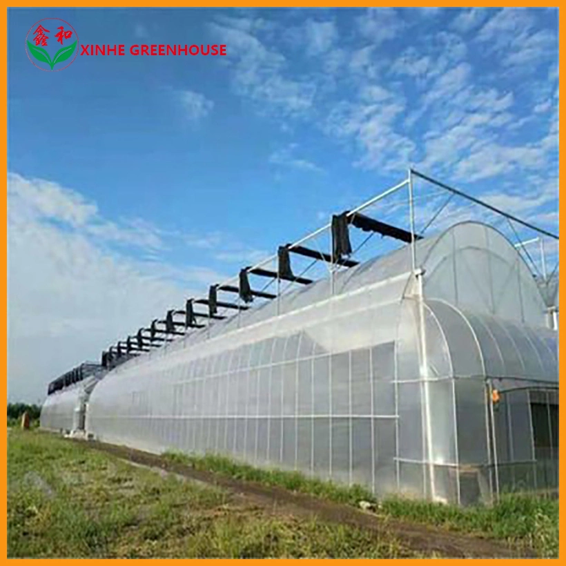 Hot-Galvanized Flowers Green House Agricultural with Plastic Film