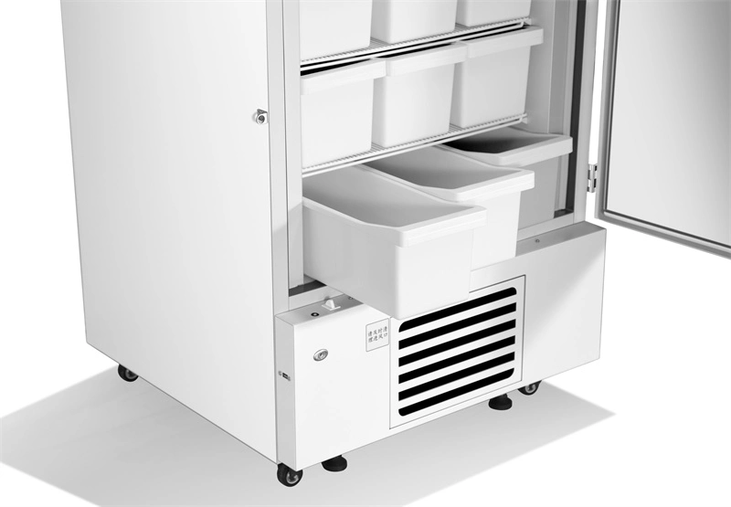 Minus 40 Degree 528L Largest Capacity Biological Upright Medical Vaccine Freezer with Two Chamber