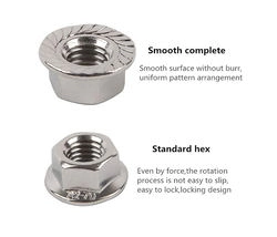 DIN6923 Hex Flange Serrated Lock Nut Stainless Steel OEM Stock Support