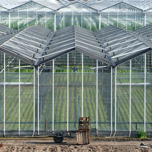 Ventilación natural siembra de verduras Vivero invernadero de vidrio