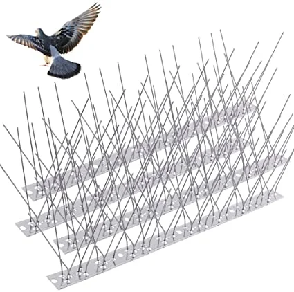 Les pointes de lutte antiparasitaire inoxydable 100packs Protéger les bâtiments