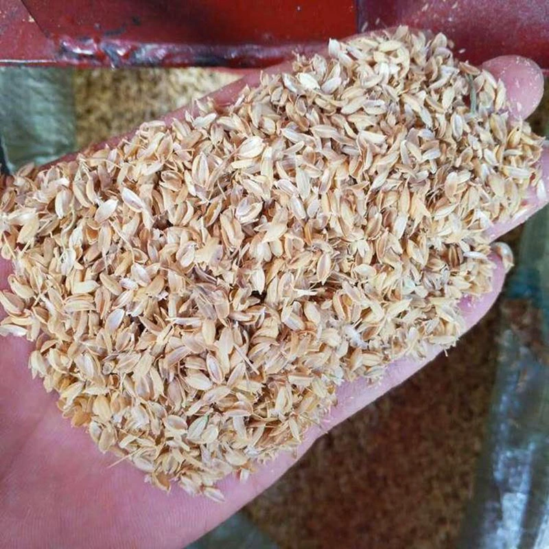 Polvo de Huza de arroz de alta calidad natural con 100% de arroz de Huje material disponible para el cultivo de hongos comestibles.