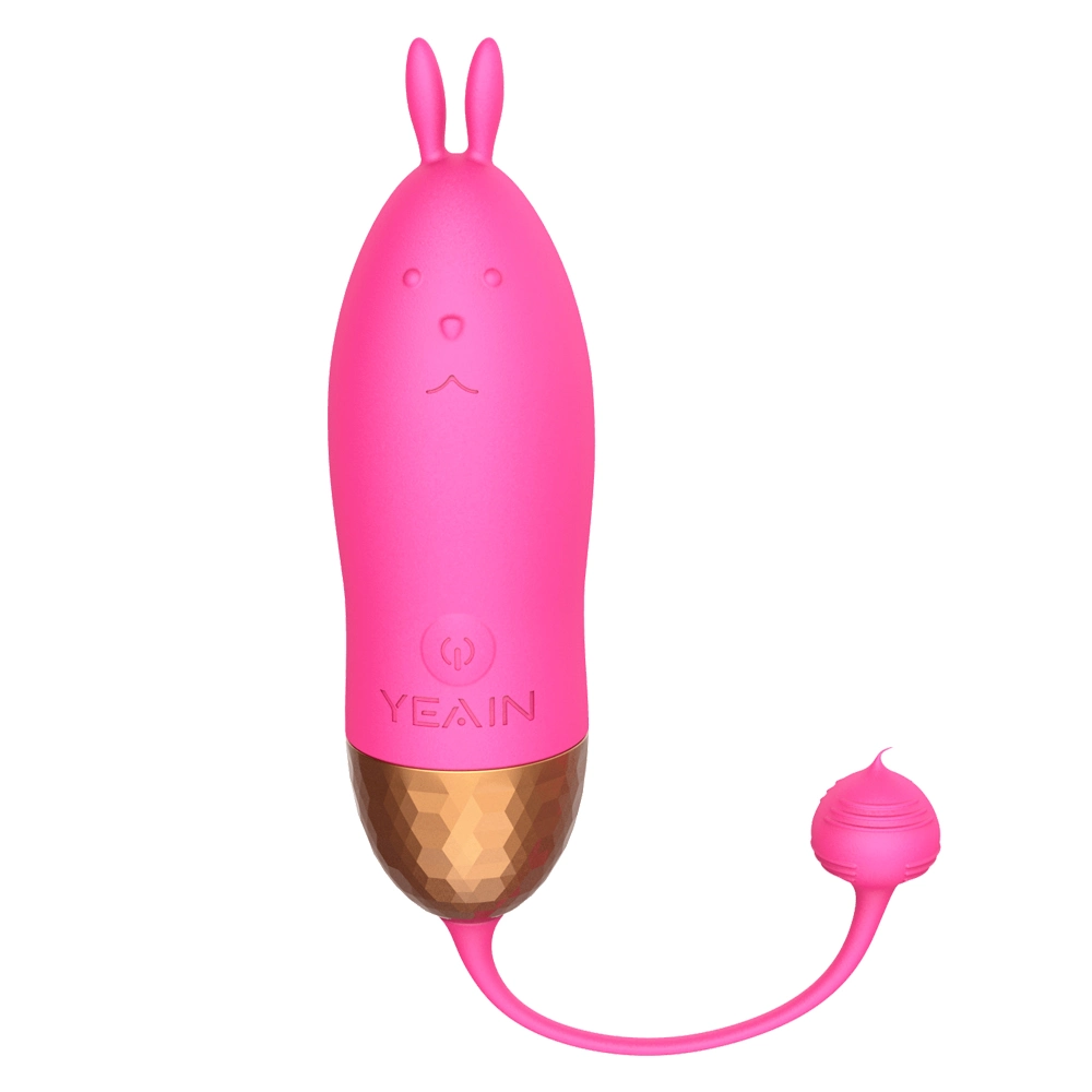 Télécommande sans fil 10 Fréquence adulte produit des jouets sexuels vibreur pour les femmes Les femmes" S Vibreur jouet sexuel pour adultes