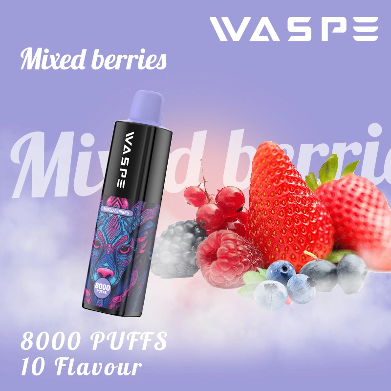 Waspe 8000 Disposable/Chargeable Vape Pen 8000puffs 16ml Pre-Filled Ejuice 650mAh Type C Rechargeable