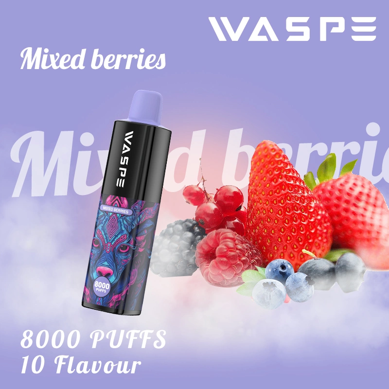 Waspe desechables 8000 Vape Pen 8000bocanadas 16ml Pre-Filled Ejuice 650mAh recargable Tipo C