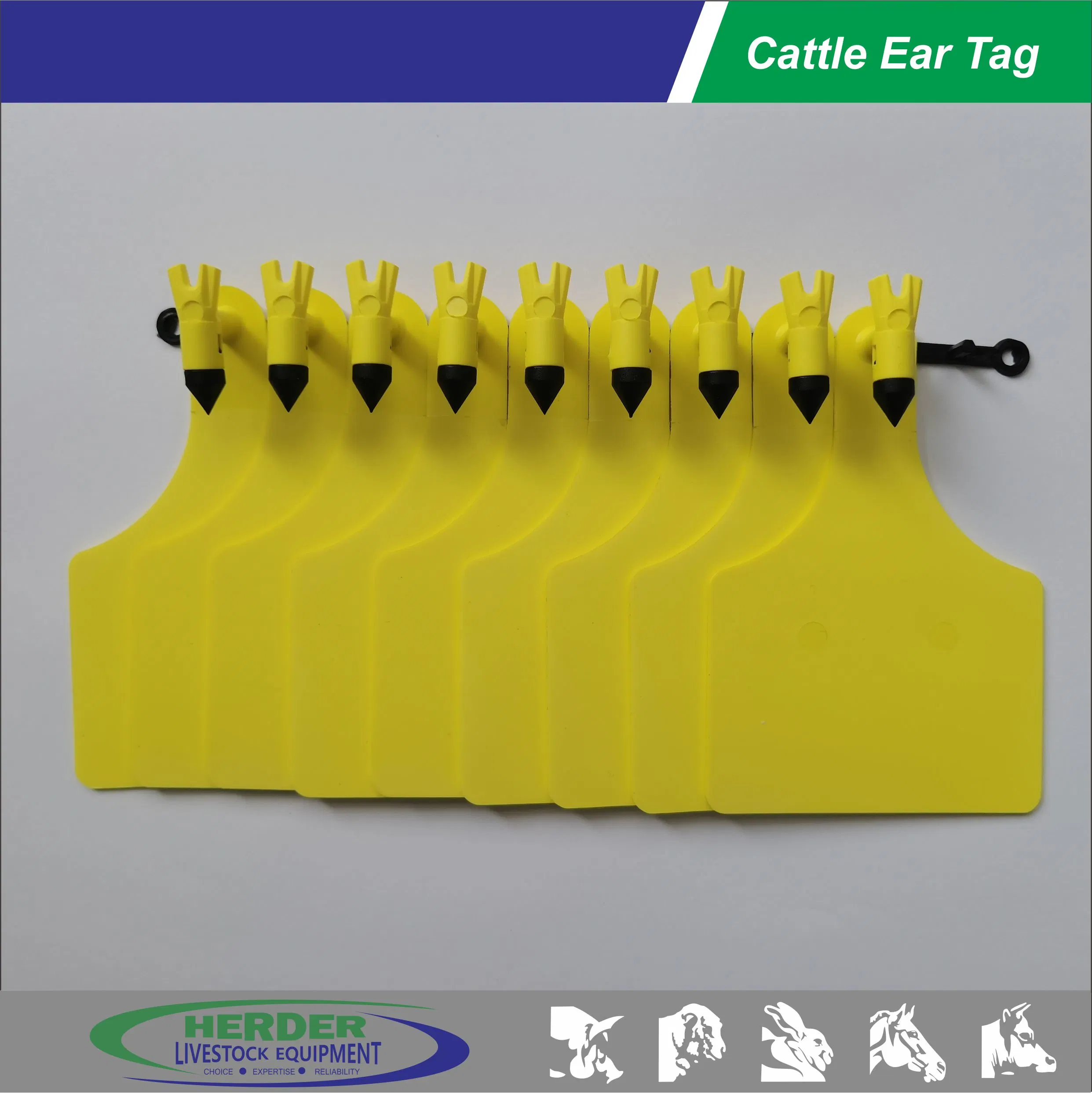 High quality/High cost performance Animal Tags Ear Cow