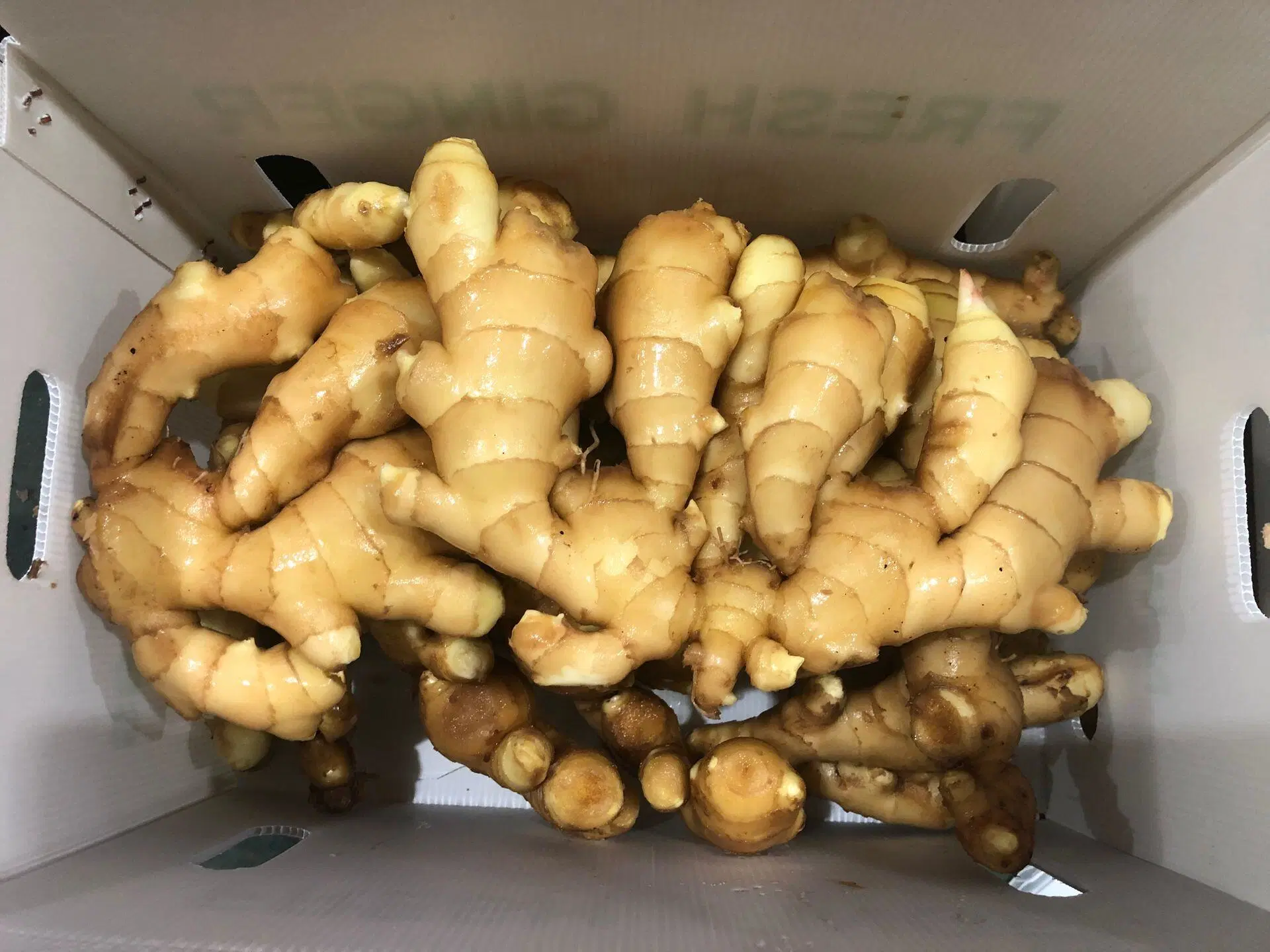 Super Chinese Fresh and Air Dried Ginger
