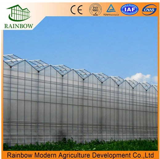 Chinese Agriculture PC Sheet Flower Greenhouse