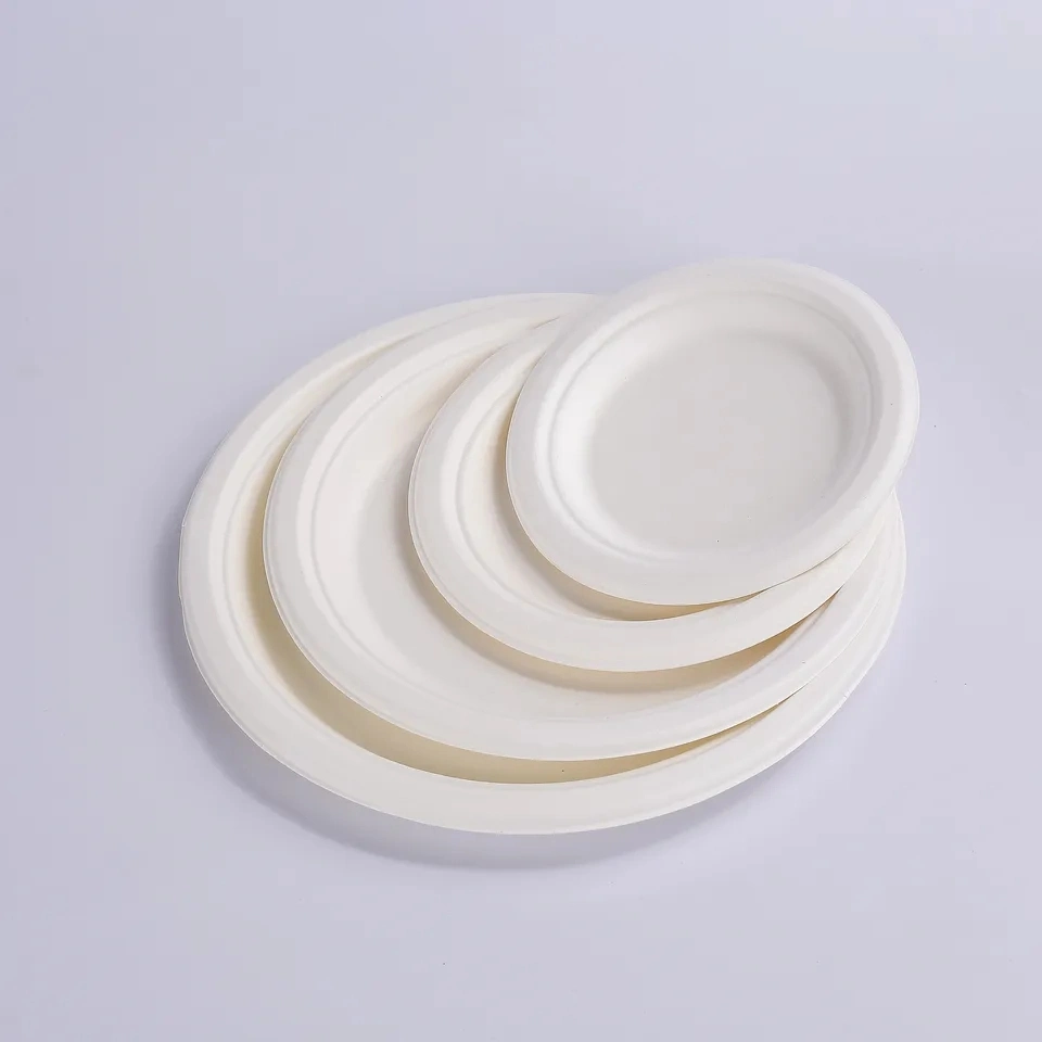 Disposable Biodegradable Plates Sugarcane Bagasse Paper Pulp Mould 6 Inch Plates