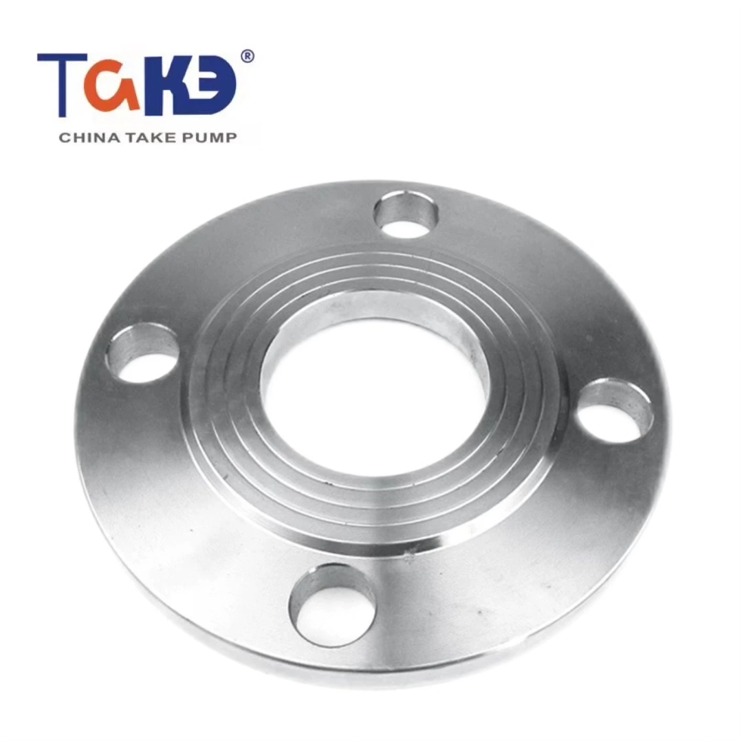 304/316L Stainless Steel Plate Flat Welded Flange