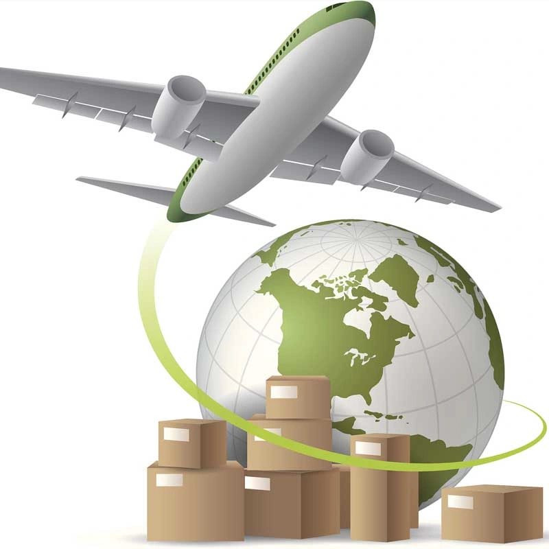 Livraison effective des principaux transitaires au Mexique/aux États-Unis par UPS DHL FedEx