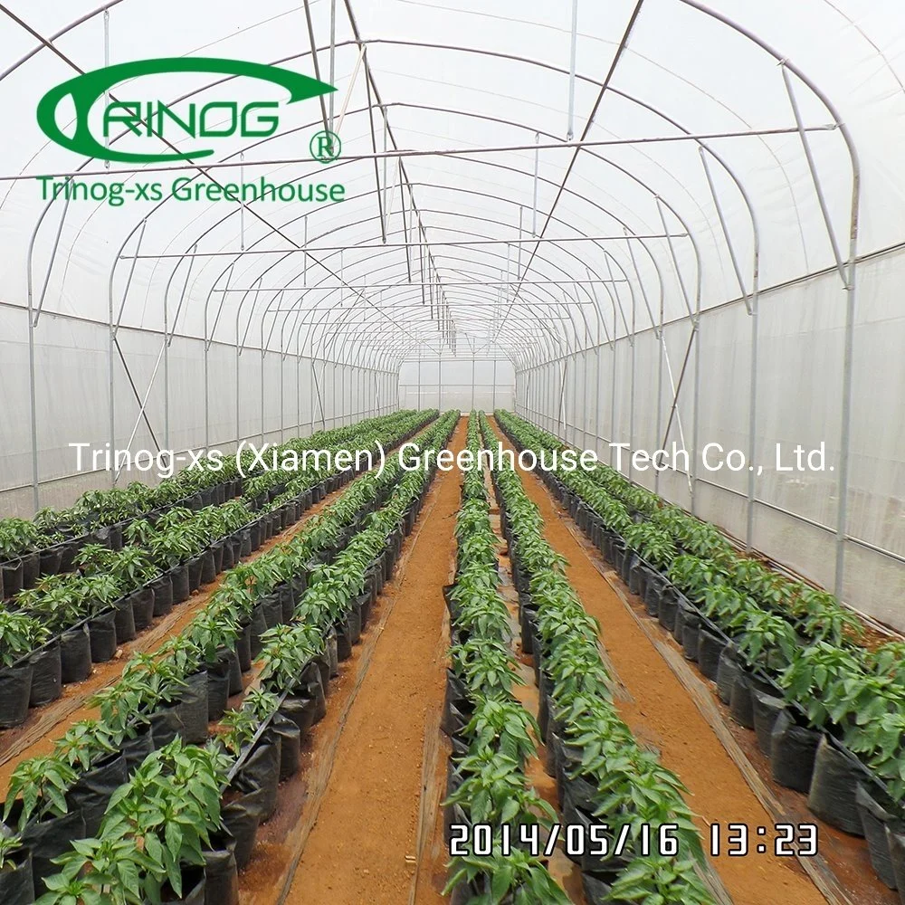 Galvanized Steel Structure tree nursery Tunnel Greenhouse for sale