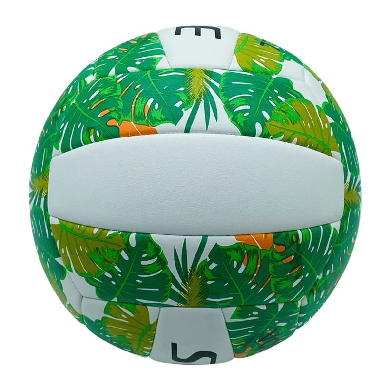 Match ballon de volley, taille officielle et poids