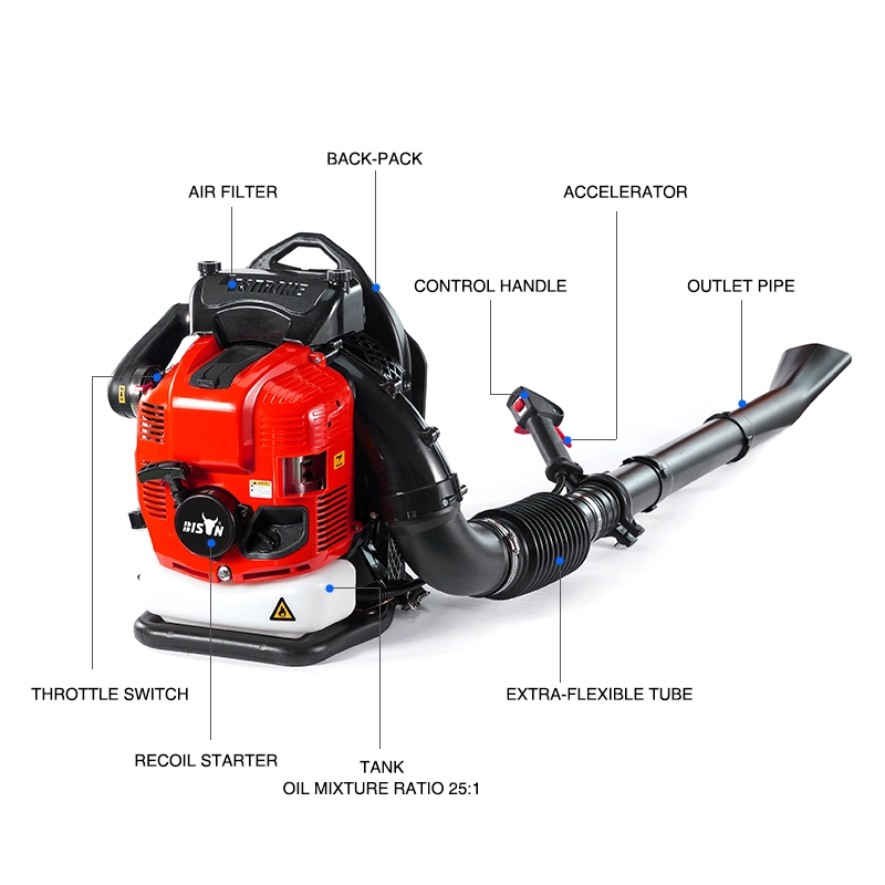 Bison 63cc Knapsack Gasoline Powered Backpack Leaf Blower, Petrol Snow Blower