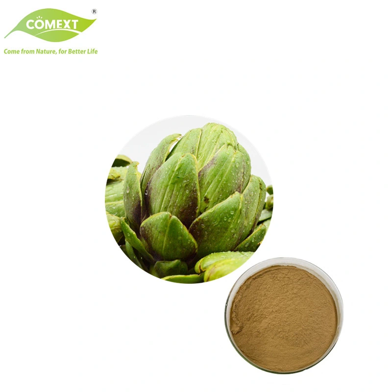 100% Pure Natural Plant Extract Cynara Scolymus Extract Cynarin Artichoke Powder