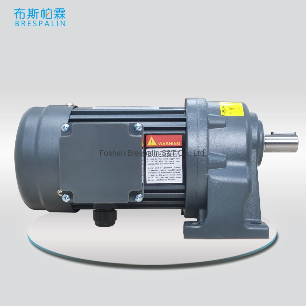 China Supplier 2p/4p Horizontal & Vertical Mounted Gear Motor