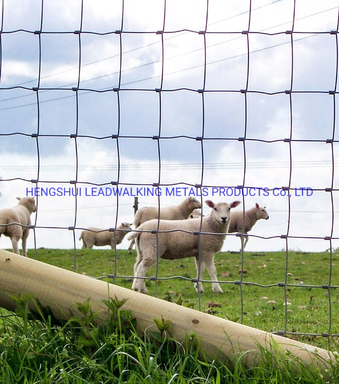 Hinge Joint Fencing Agriculture and Husbandry Used Galvanized Iron Steel Grassland Fencing