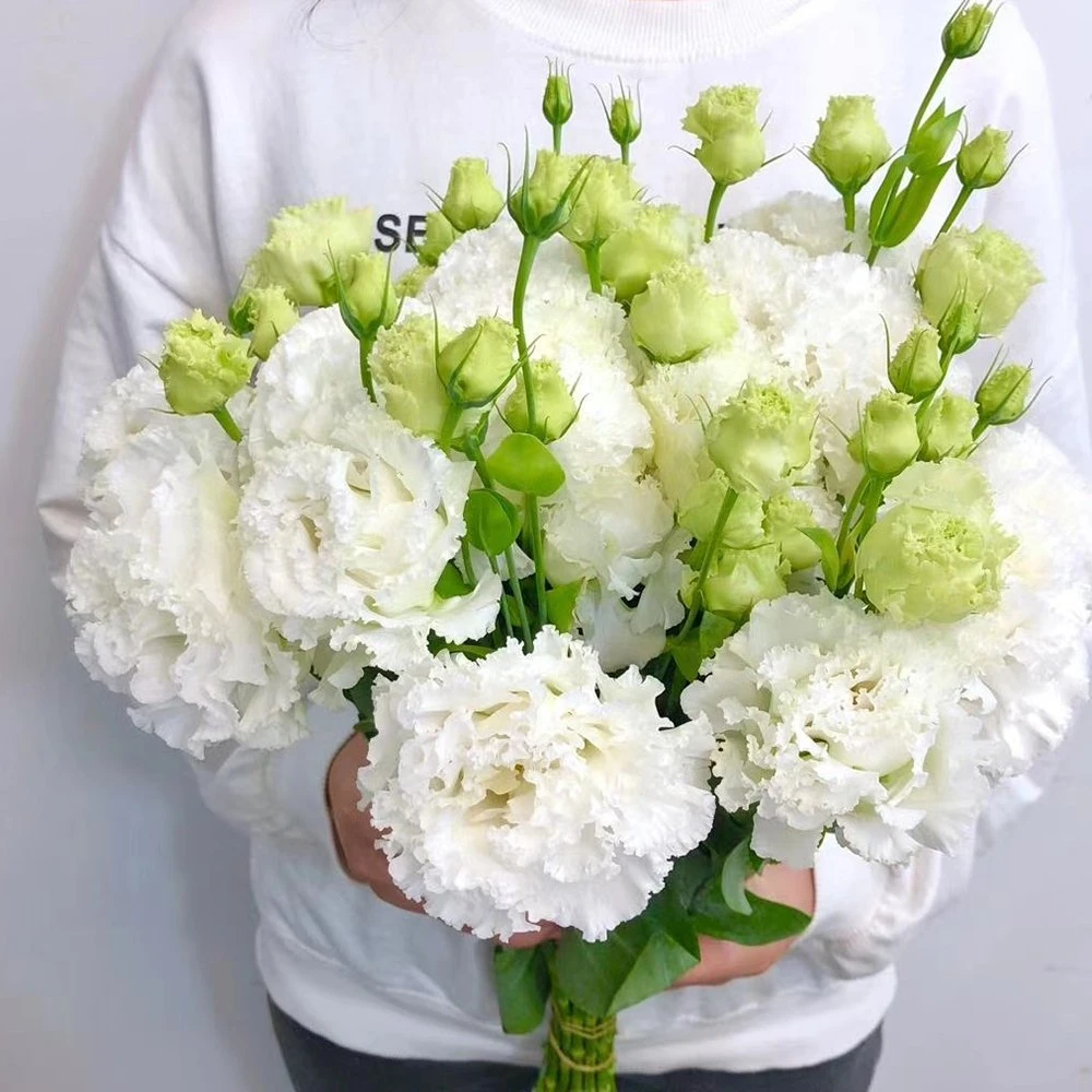 Wholesale Beautiful White Fresh Cut Eustoma Flowers for Weddings Home Office Decoration