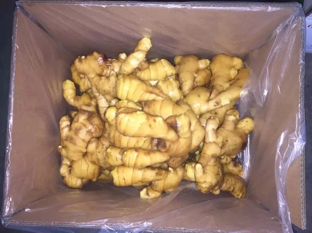 High-Quality Agriculture Products: Fresh Ginger From Shandong