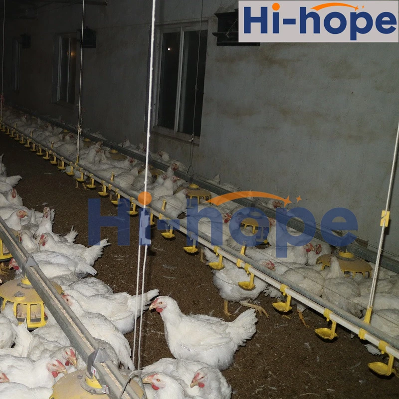 Hi-Hope Nipple Automatic Chicken Farm Drinking System