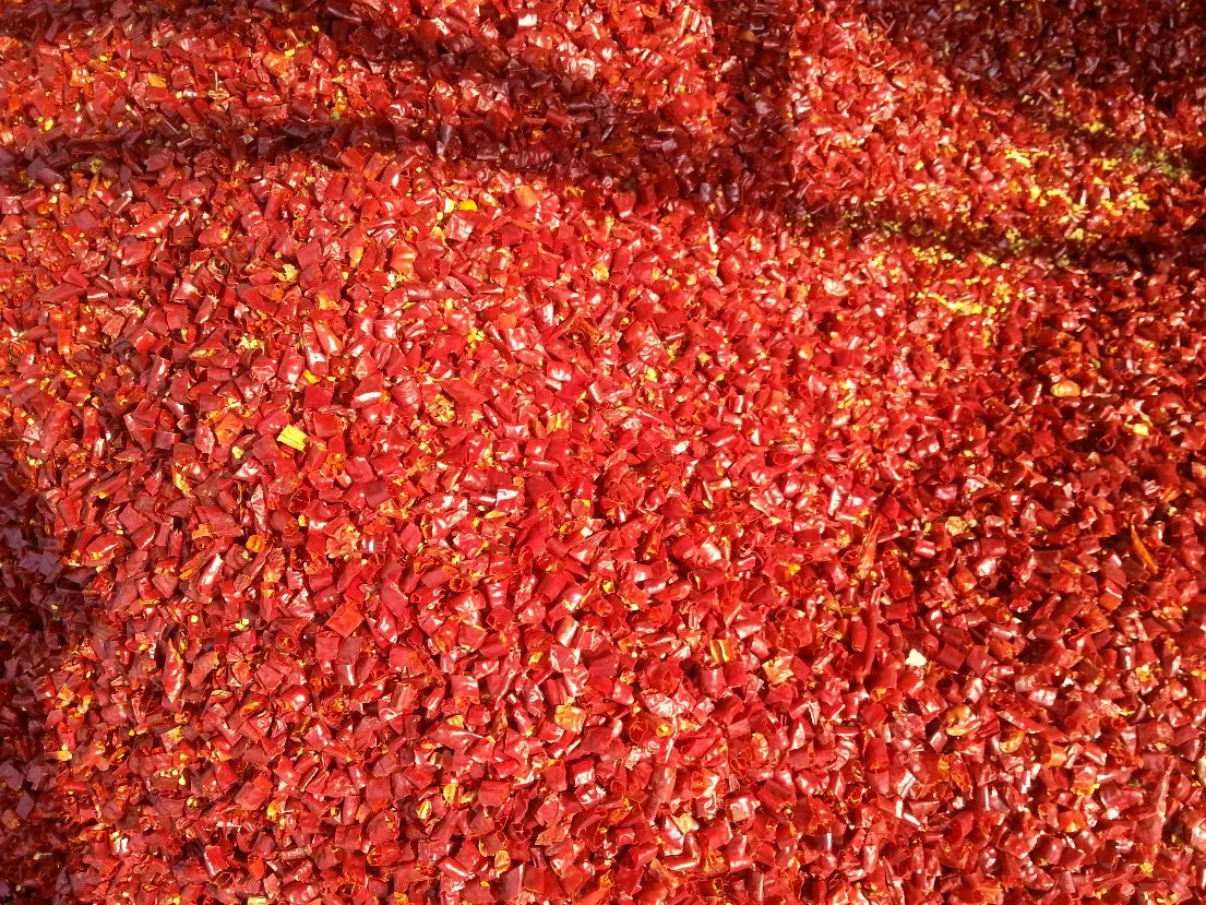 Dried Red Chilli Whole & Crushed& Ring & Powder