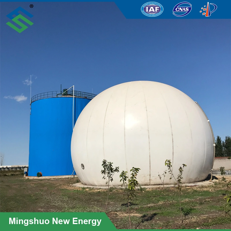 Biogas Digester for Power Generation