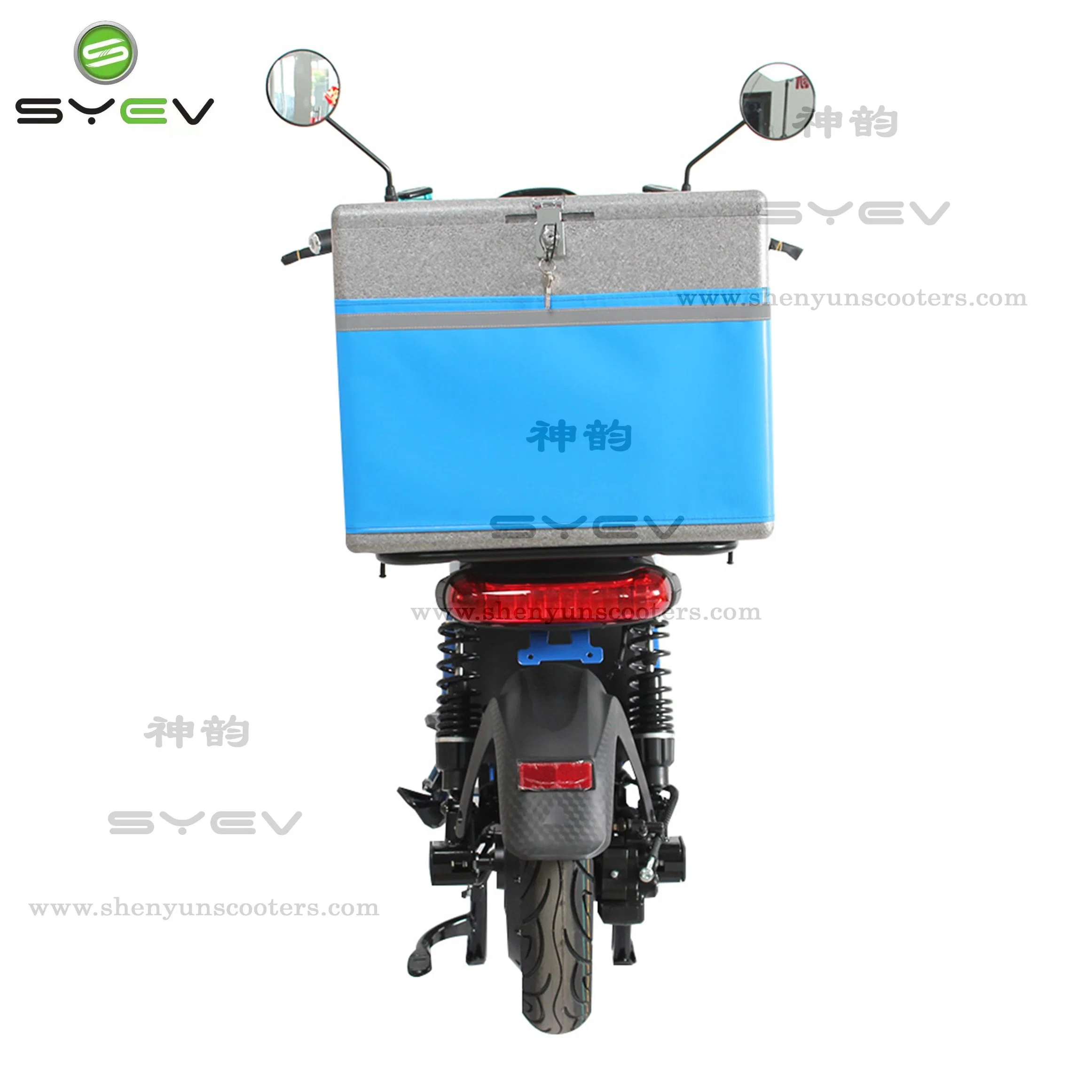 Syev EEC Approve Cargo Delivery Strong E-Motorcycle Electric Scooter Disc Brake