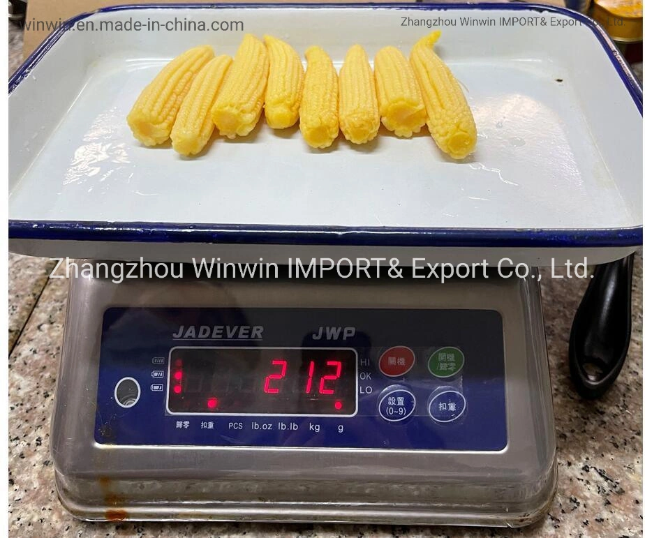 Canned Baby Corn Whole Spear in Brine Good Price