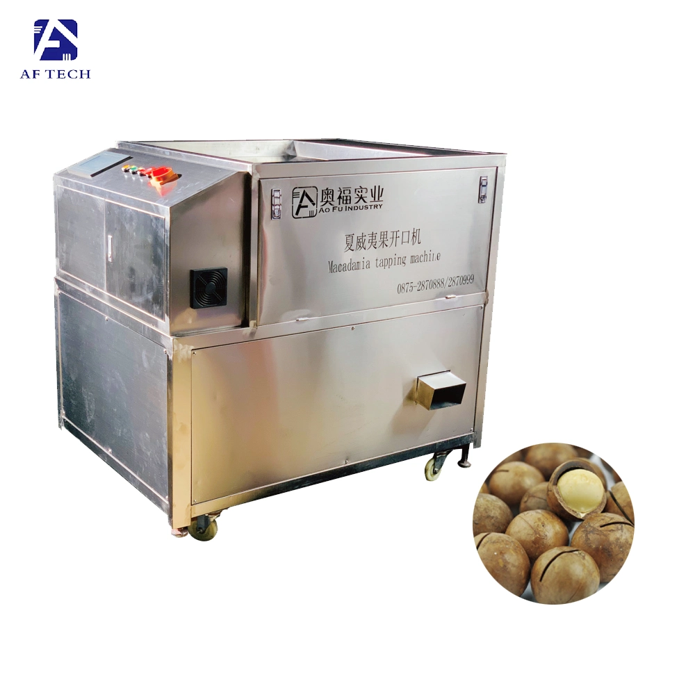 Snack Food Processing Plant Macadamia Nut Opening Crackers Tapping Machine