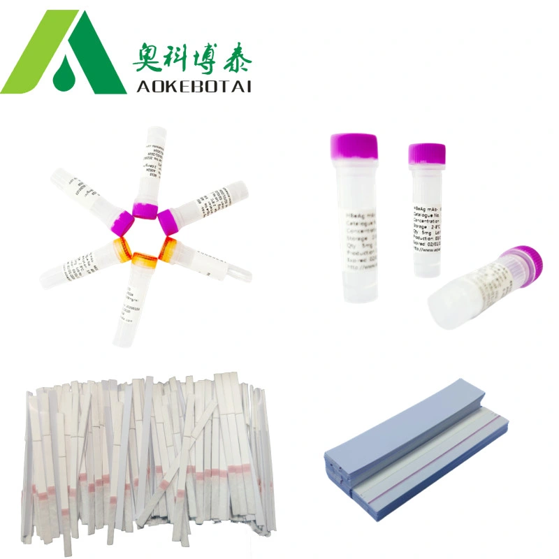 Manufacturer supply test marker Cyfra21-1 antigen with high quality and competitive price