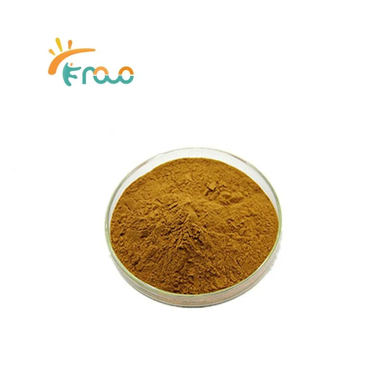 High Quality Hypericum Perforatum Extract Hypericin St John S Wort Extract