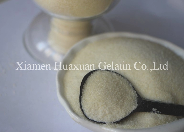 Wholesale Beef Fish Edible Halal Gelatin Powder