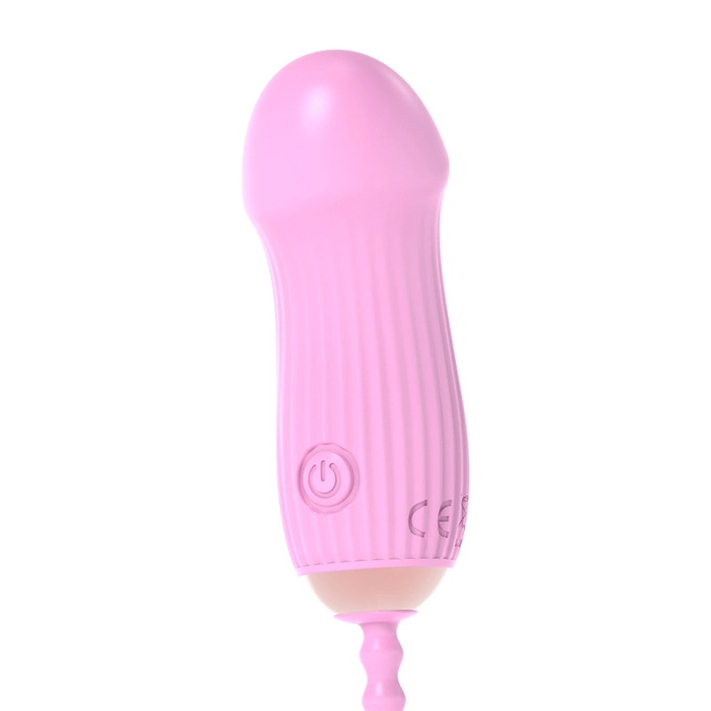 2022 12 Modes de Vibration Œuf Vibrant en Silicone avec Télécommande