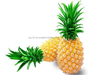 Factory Supply Pineapple Extract Bromelain 80~2400gdu/G