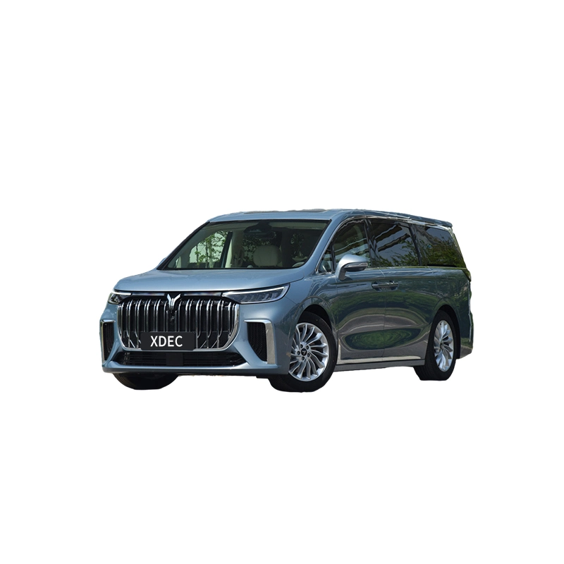 Premium Large MPV of 2023 New 7 Seats New Lantu Energy Vehicle