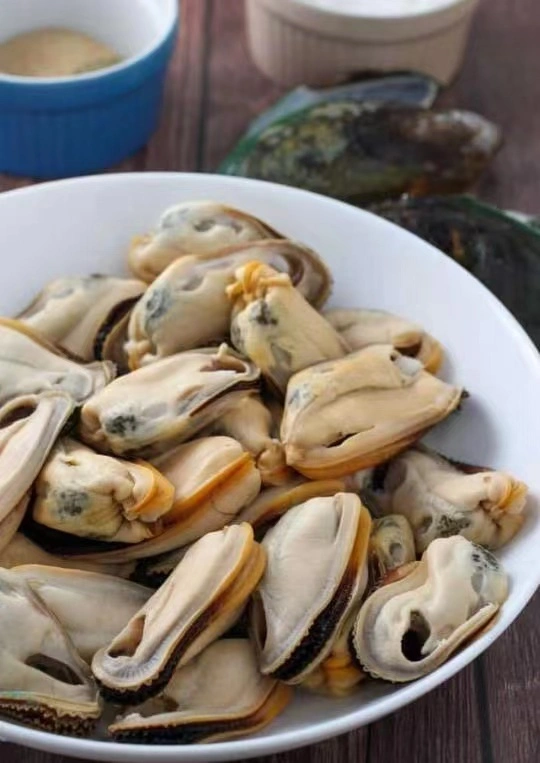 China hervidos mariscos congelados de carne del mejillón