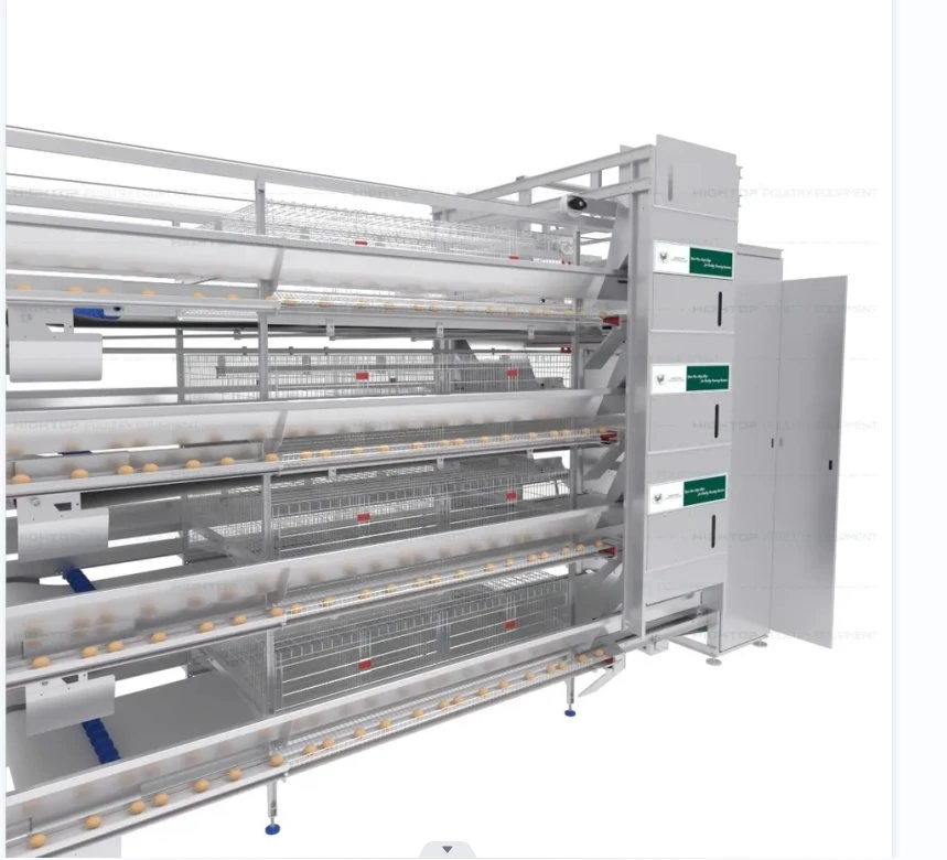 Élevage de volailles de reproduction de type H Système automatique de la couche d'oeufs Cage de la batterie