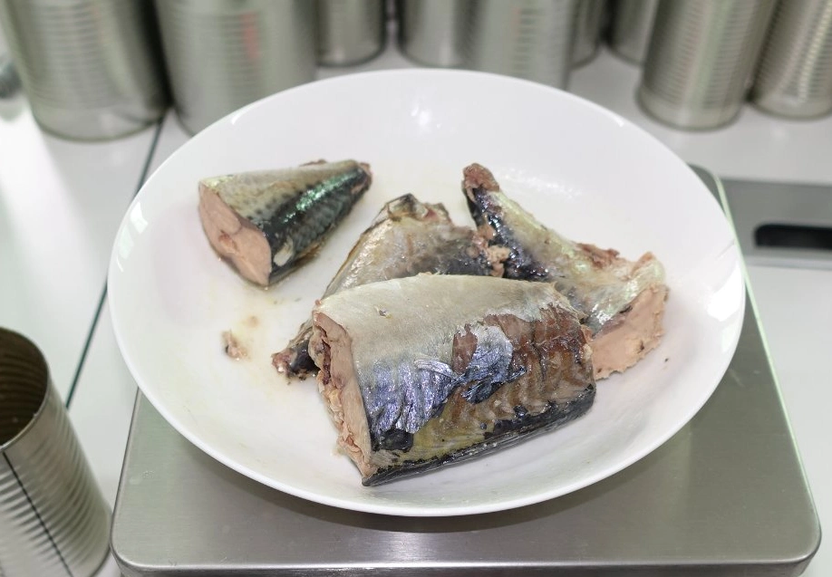 سمك الإسقمري المعلّب من المأكولات البحرية في الزيت/الماء مع ملصق خاص