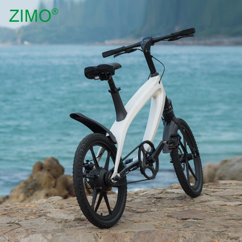 20Inch Fat Electric Moped Scooter Electric Dirt Bike E-Bike