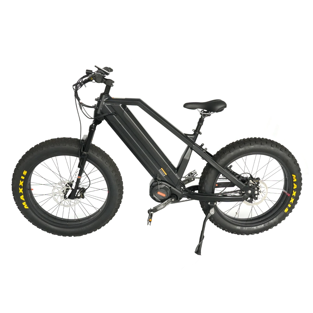 G510 M620 Bafang MID Motor 1000W off-Road Ebike with Rohloff 14 Speeds Hub Belt Drive Electric Dirt Bike for Adults